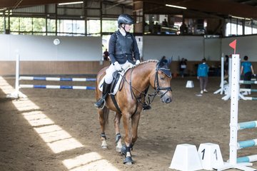 Bild 1 - Pony Akademie Turnier